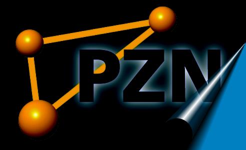 PZN Logo schwarz